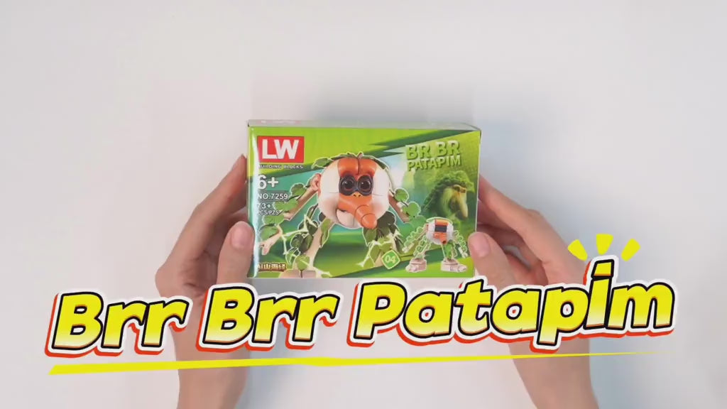 Lots 8 Box Brainrots