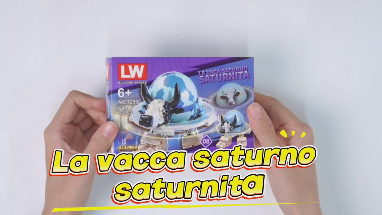 Lots 8 Box Brainrots